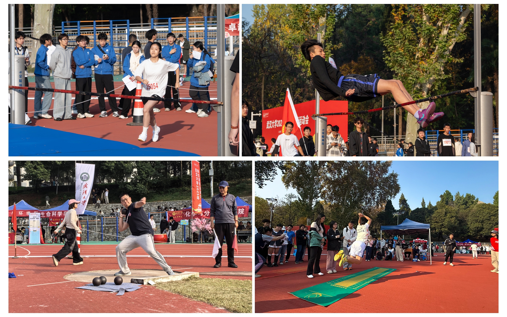 1763456741058063143.jpg 1763456741058063143.jpg